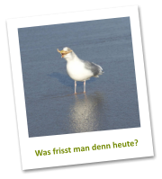 Was frisst man denn heute?